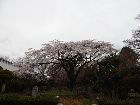 DSCN7434