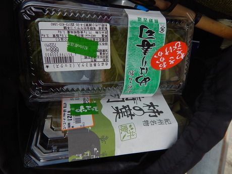 DSCN0491