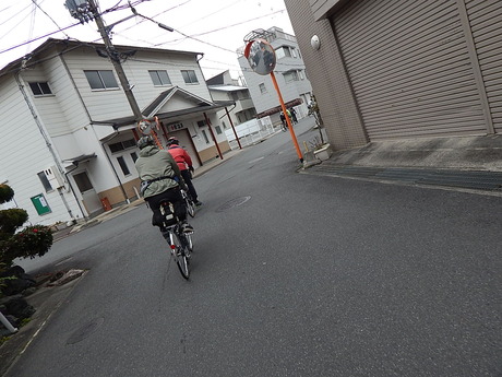 DSCN6641