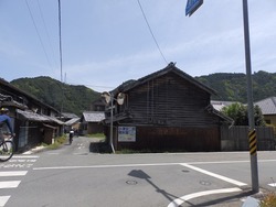 s-P4230233nigaki