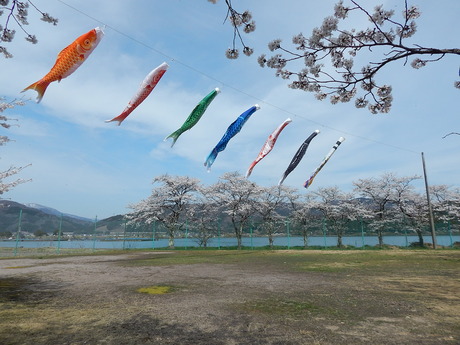 DSCN9218