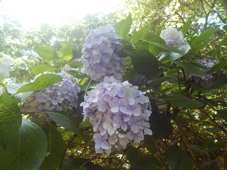 DSCN8402