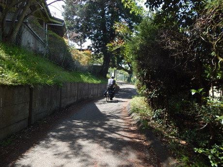 DSCN0232