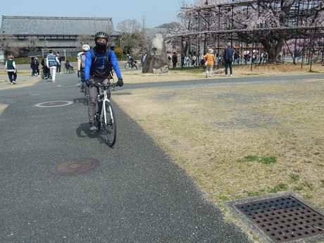 DSCN5879
