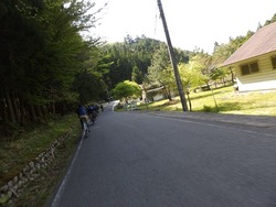 s-P4230353nigaki