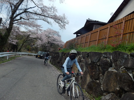 DSCN6279