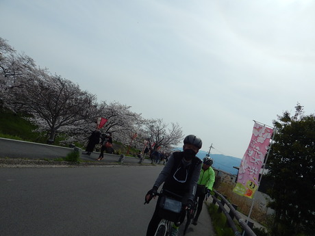 DSCN8518