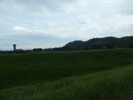 DSCN7494