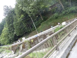 s-P73009490730