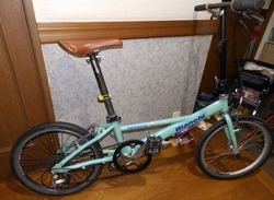s-P4150593dahon