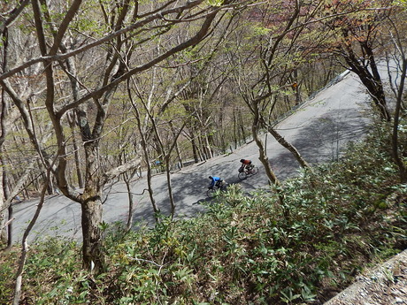 DSCN6175