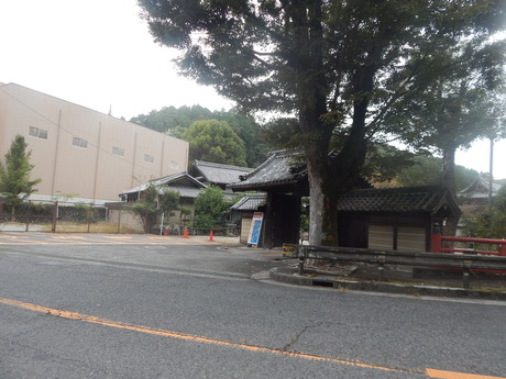 DSCN5075