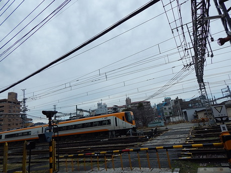 DSCN6649