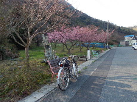 DSCN3370