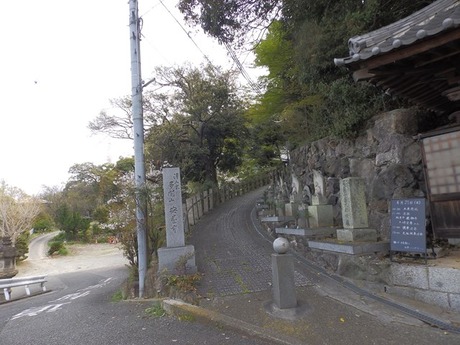 s-P4070056heguri