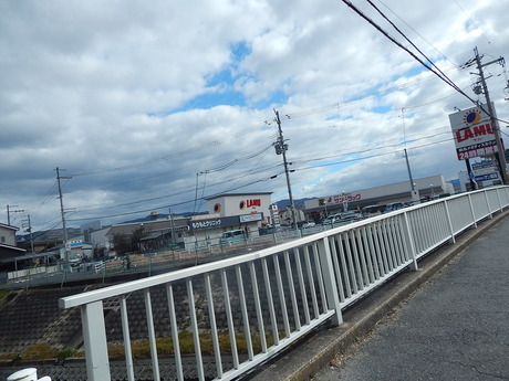 DSCN5966