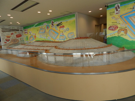 DSCN9624