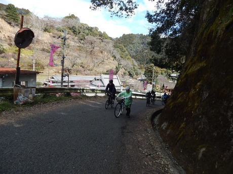 DSCN4621