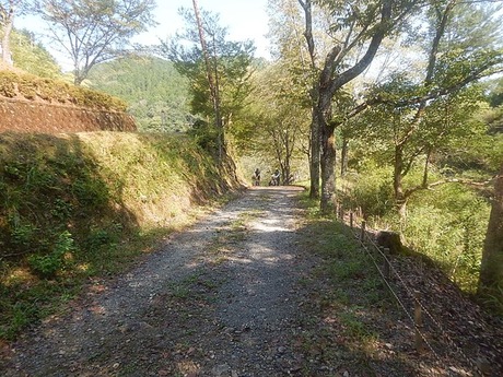 s-DSCN1455kasa