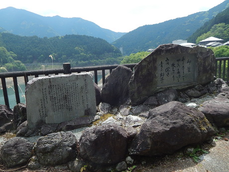 DSCN7631