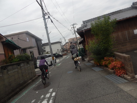 DSCN5140