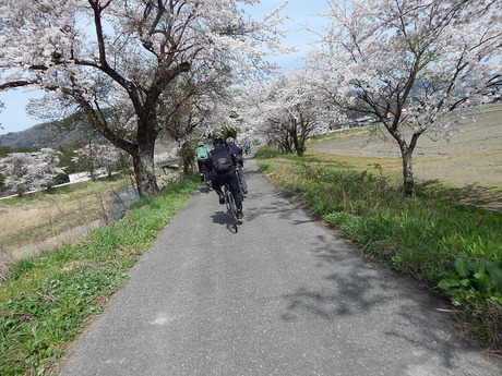 DSCN9106