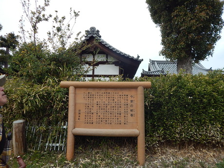 DSCN5946