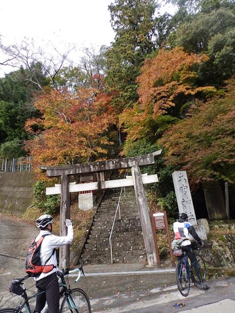 s-PB110078kushi