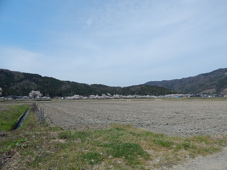 DSCN9083