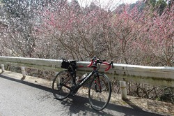s-IMG_9690hirohashi