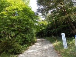 s-P9180804takabocchi