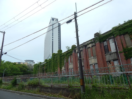 DSCN6548