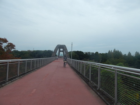 DSCN5166