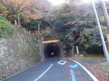 DSCN6572
