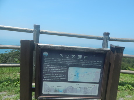 DSCN8452