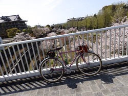 s-P4010256nara