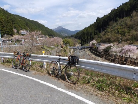 s-P4130275higashiyo
