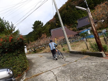 s-PB110159kushi