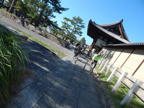 DSCN5812
