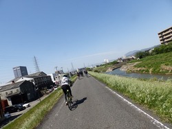 s-P4220192fushimi