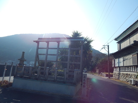 DSCN3368