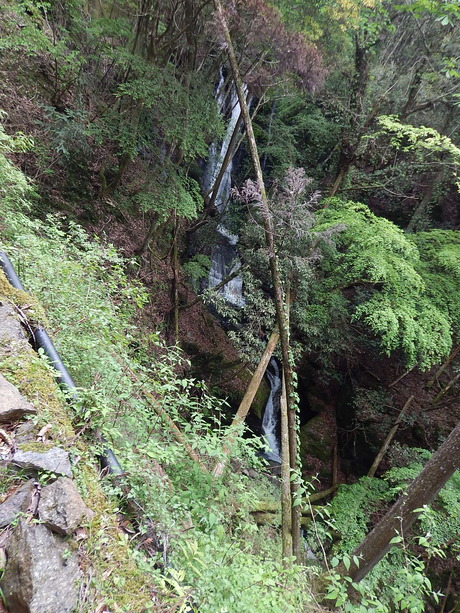 DSCN7649