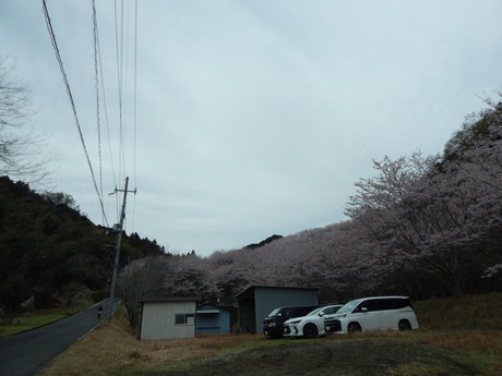 DSCN6177