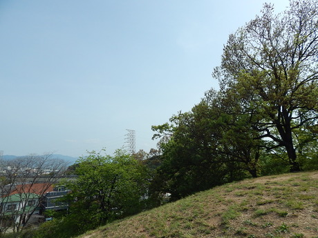 DSCN9650