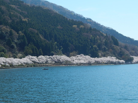 DSCN8799