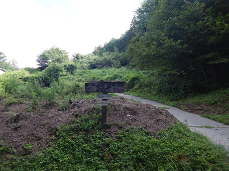 DSCN0917