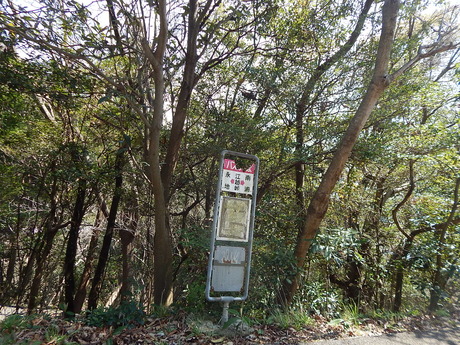 DSCN5120