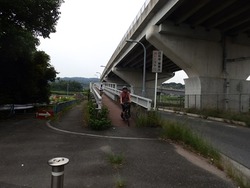 s-P6180152houkyu