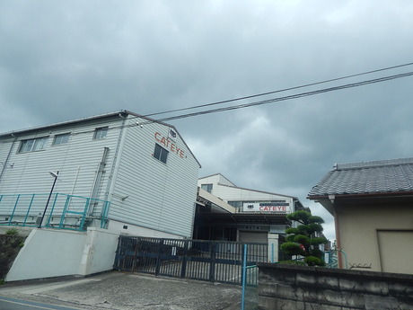 DSCN8145