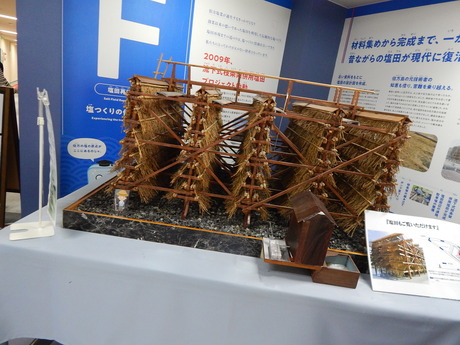DSCN5337